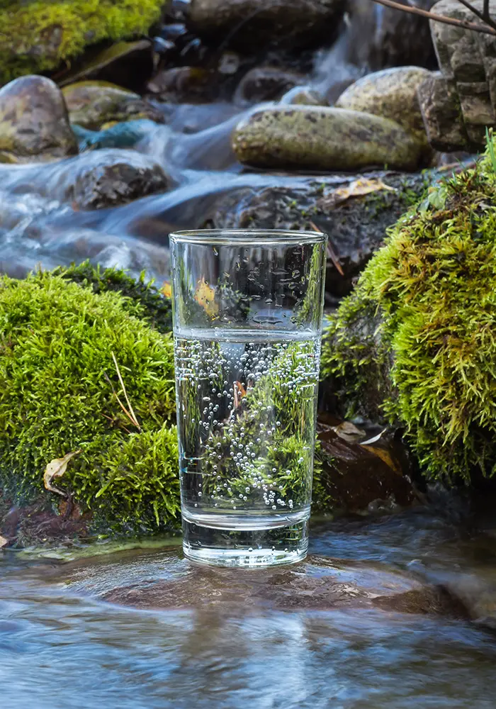 Glas mit Wasser vor einer Wasserquelle mit Moos